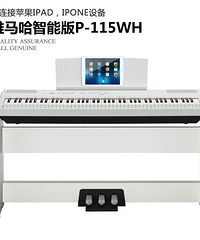 ȫ��YAMAHA��ɫ�����P115