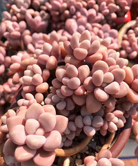 �������֮��