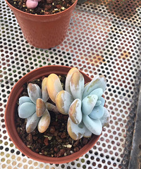 �������֮��