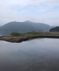 ����Ȼ���������