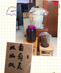 "杨梅汁,葡萄酒,桂花酿,什么季节置什么!大波来袭,怎不心动"
