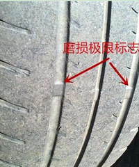 �𶯲����͸���������̥