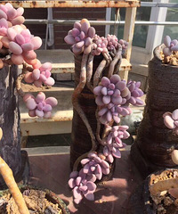 ���ⶾһ�£������