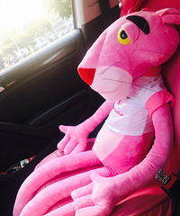 �������°಻�µ�