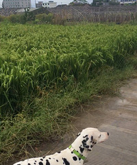 Ѱ�Ұߵ�ԭ��������