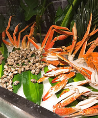 ���촮�����ϼ�����ʽ���� �Ե���ǽ��