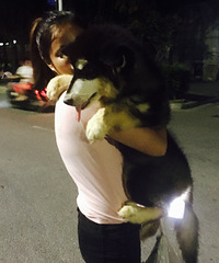 ��������˹��ֻʣ���һֻ