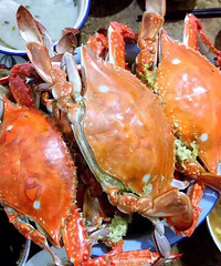 ���ʱ������ʲźó�