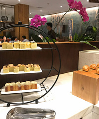 �Ա������ٳ�����