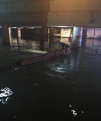 �ؾ���������