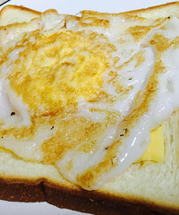 ţ��������������