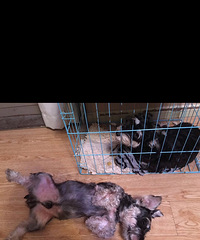 ̨���н������������Ժ�����ܵ��䣬���˺�