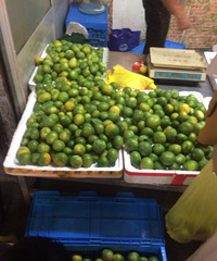 ������ô��������