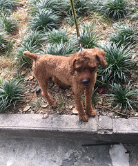 �������������ë�������������