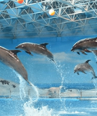 ��19¥�����������������1��1С��Ʊ�������ȡ��