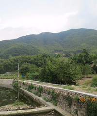 穿越茅畲沙埠群山 徒步温州岭古道