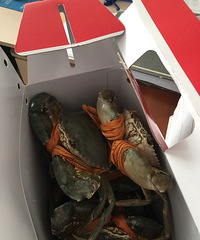 ��������������з���������