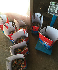 ��������������з���������