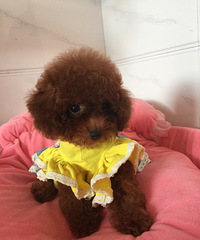 �Լ�����̩�ϱ����豭�����¼���