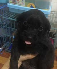 ������С���������