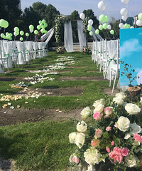 ��ƺ������������Ľ����Ľ ��Ҫ���½��