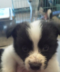 ���˳��۱߾�����Ȯ����