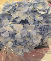 ������廨���Լ��������ľ�����