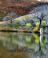 ������ͳ�ɷ�