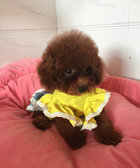 ���Լ�����̩�ϱ������¼��ˣ�ϲ������ϵ��