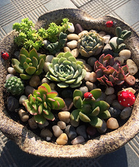 ��һ��ƴ��