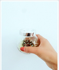 ��һ������������ɹ�