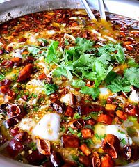 ���ڹ������