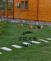 �Ƽ�һ�ҷǳ��õĿ»�����