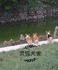 �Ƽ�һ�ҷǳ��õĿ»�����