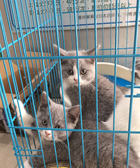 �������س��۸������è�������Լ۱ȸ�