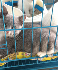 �������س��۸������è�������Լ۱ȸ�