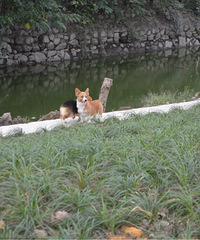 �����Ѽҳ��ۿ»���Ȯ