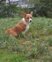 �����Ѽҳ��ۿ»�