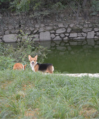 �����Ѽҳ��ۿ»�