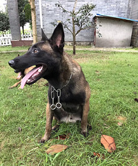 �����ϡ��ɾӾ���������������30wѰ����ʧ��Ȯ������