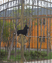 ���ѼҵĿ»���Ȯ