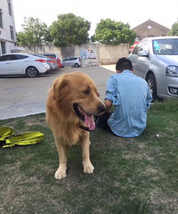 ��λͬ־�ҵĴ��ë�߶��ˣ���������