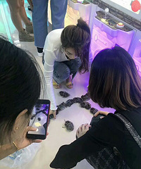 ���۸��᡿���޻����з�����ܼм�����