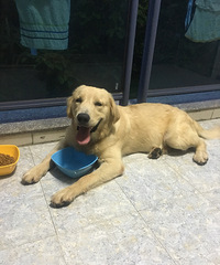 9���´��ֽ�ëȮС�����ת��