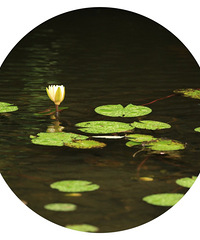 һ������һ����