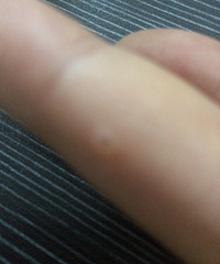 ��������ʲô���