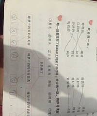 ���۸��᡿Сѧ��һ�꼶����ҵ����д������