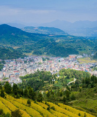 还会一起再看梯田吗? ——10月8日茗岙梯田行散记