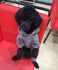 10��19������11�������ڽ���·��ʧһ