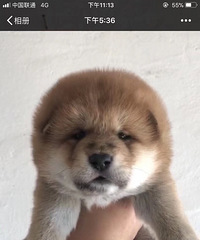 ��������ձ���Ȯ��С����